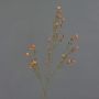Fiore artificiale di cera NIANG, arancione-rosso, 80cm, Ø2-3cm