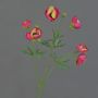 Ranuncolo finto YARIS, rosa-verde, 65cm, Ø3-4,5cm