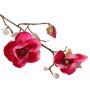 Magnolia artificiale KOSTAS, rosa, 55cm, Ø5-8cm