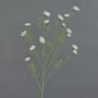 Fiordaliso artificiale ZENOBIOS, crema, 80cm