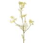 Carota selvatica artificiale KALOMIRA, verde-bianco, 85cm