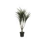 Dracaena Reflexa artificiale TABIVO, tronco artificiale, verde-rosso, 90cm
