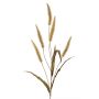 Pennisetum artificiale HIWA, pannocchie, verde, 135cm