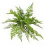 Felce aquilina artificiale ARCHES su stelo, verde, 30cm, Ø40cm