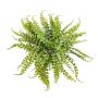 Felce a bottone decorativa IMAI su stelo, verde, 40cm, Ø50cm