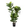 Ficus Lyrata artificiale GUDJA, tronchi artificiali, verde, 130cm