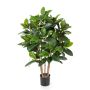 Albero di gomma artificiale AZZURRA, verde, 120cm