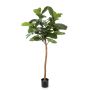 Ficus Lyrata artificiale ADERITO, tronco reale, verde, 170cm