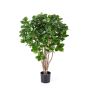 Clusia artificiale MAASYM, tronchi veri, verde, 110cm