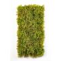 Tappetino di muschio islandese MUSCIDA, verde-marrone, difficilmente infiammabile, 25x50cm
