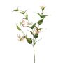 Gloriosa artificiale WARIS rosa-crema, 120cm
