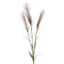 Ramo di erba della pampa artificiale ADNANE con pannocchie, marrone, 90cm