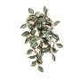 Tradescantia Zebrina artificiale MBARKA su stelo, verde-rosso, 40cm