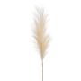 Pannocchia di erba della pampa artificiale AMATSIA, crema, 115cm