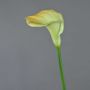 Calla finta DAISCHI, giallo-verde, 70cm