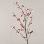 Ramo finto di gaultheria LEERDIK con frutti, rosso, 120cm
