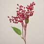 Ramo artificiale di sambuco TEITH con frutti, rosso, 40cm