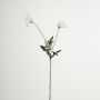 Ramo di fiori artificiali papavero GUNDULA, Eco Collection, bianco-lilla, 70 cm, Ø 7-8 cm