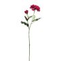 Ramo decorativo di zinnie GUNDISINE, Eco Collection, rosa scuro, 65 cm, Ø 9 cm