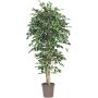 Ficus Benjamini artificiale LEVANTA, tronchi naturali, verde-bianco, 225 cm - Made in Italy