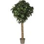 Mango artificiale MAYUMI, tronco vero, verde, crossdoor, 175 cm - Made in Italy