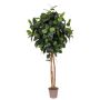 Albero di gomma artificiale LENELOTTE, tronchi naturali, verde, 250 cm - Made in Italy