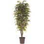 Acero giapponese artificiale KESCHA, tronchi naturali, verde-rosso, 150 cm - Made in Italy