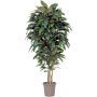 Magnolia decorativa MARZELLINE, tronchi naturali, verde, 175 cm - Made in Italy