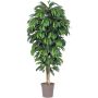 Mango artificiale MAWUWANI, tronchi reali, verde, crossdoor, 125 cm - Made in Italy