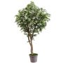 Acero giapponese artificiale MYKYTA, tronchi naturali, verde-rosso, 200 cm - Made in Italy