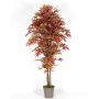 Acero giapponese artificiale MYKYTA, tronchi naturali, rosso-marrone, 200 cm - Made in Italy