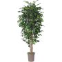 Ficus Benjamini artificiale LEVANTA, tronchi naturali, verde, 125 cm - Made in Italy