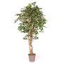 Ficus Benjamini artificiale YANEXY, tronchi naturali, verde-bianco, 200 cm - Made in Italy