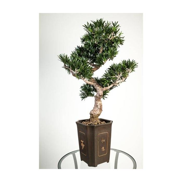 Podocarpo bonsai finto TRISTAN radici,vaso decorativo,verde, 90cm