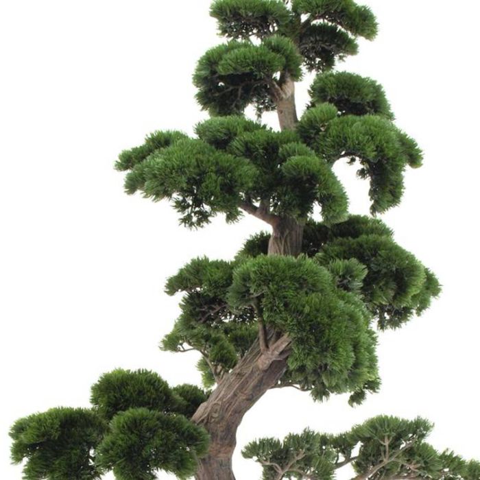 Pino bonsai finto DOMENICO resistente alle intemperie verde 170cm