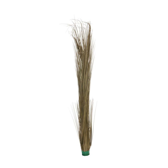 Falso carex MALINYI su stelo, verde, 35cm