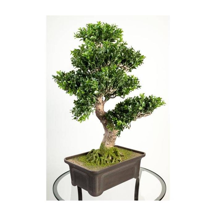 Vaso bonsai rettangolare in gres 24 CM