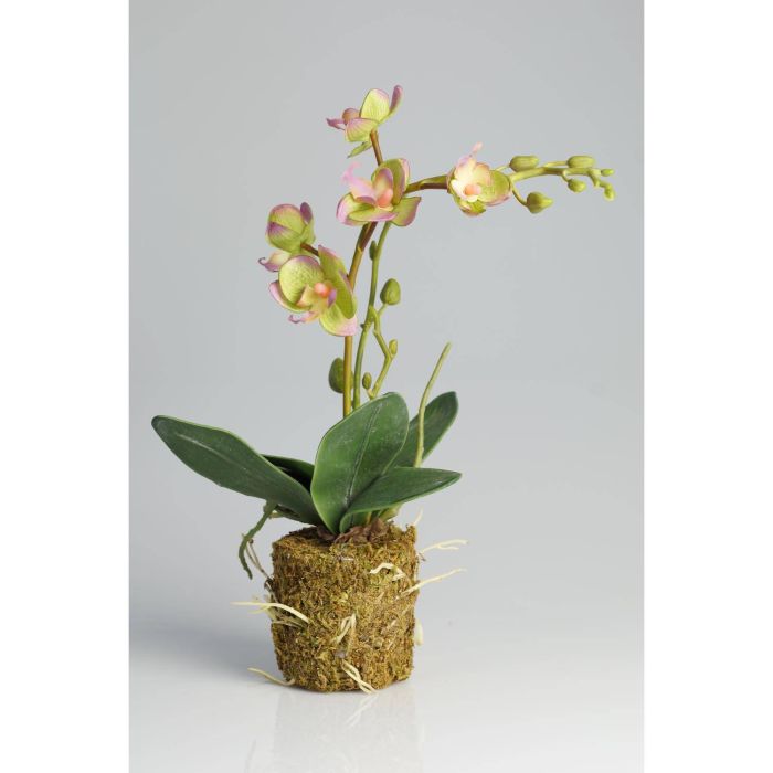 Orchidea finta ZEHRA con terriccio, rosa-verde, 30cm, Ø3-4cm