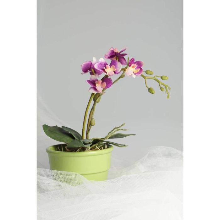 Orchidea finta ZEHRA con ceppo di muschio, viola, 30cm, Ø3-4cm - Fiori  artificiali