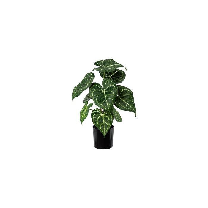 Pianta Artificiale Cordyline Takara 35 Cm Con 90 Foglie Verde-bianco: Decorazione Da Interno - 3