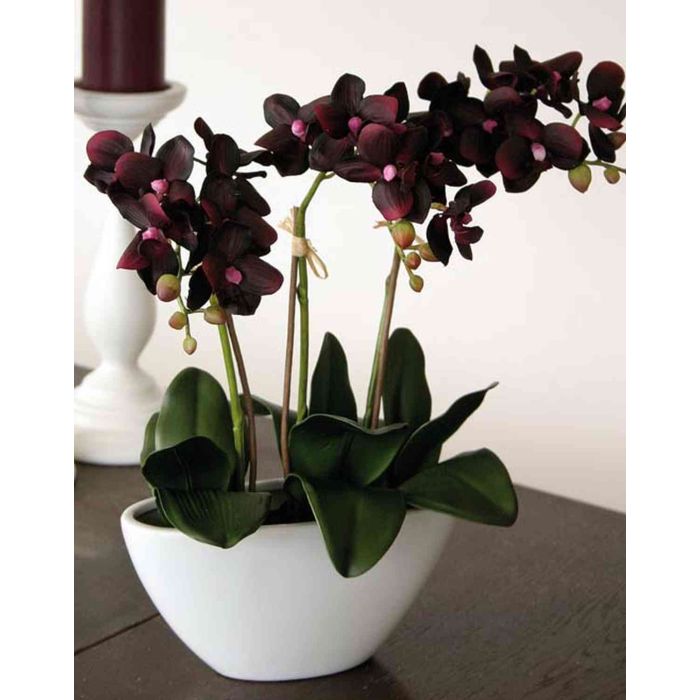 Orchidea Phalaenopsis artificiale JASMIN in ciotola di ceramica, bordeaux,  40cm