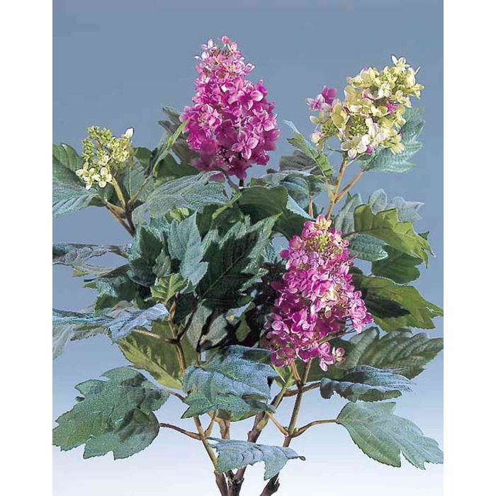 DUYONE, 3 ortensie artificiali grandi da 56 cm, realistiche al tatto, fiori secchi, per esterni, matrimoni, Natale, ufficio, feste in famiglia, soggiorno, decorazione da tavolo (verde