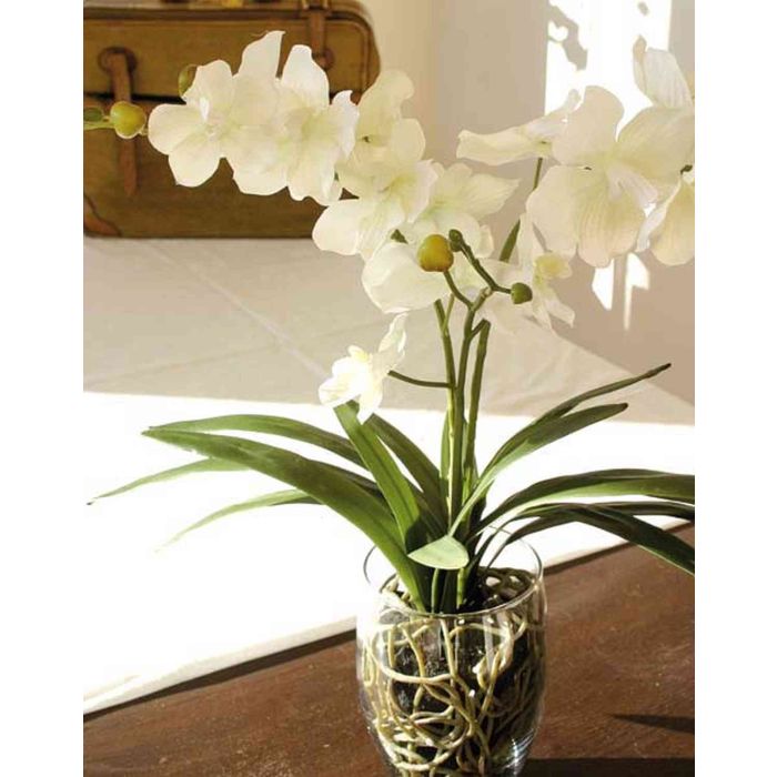 Orchidea vanda artificiale JIA in vaso di vetro, crema-bianco, 50cm