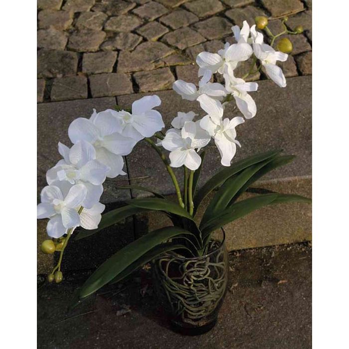 Orchidea vanda artificiale JIA in vaso di vetro, crema-bianco, 50cm