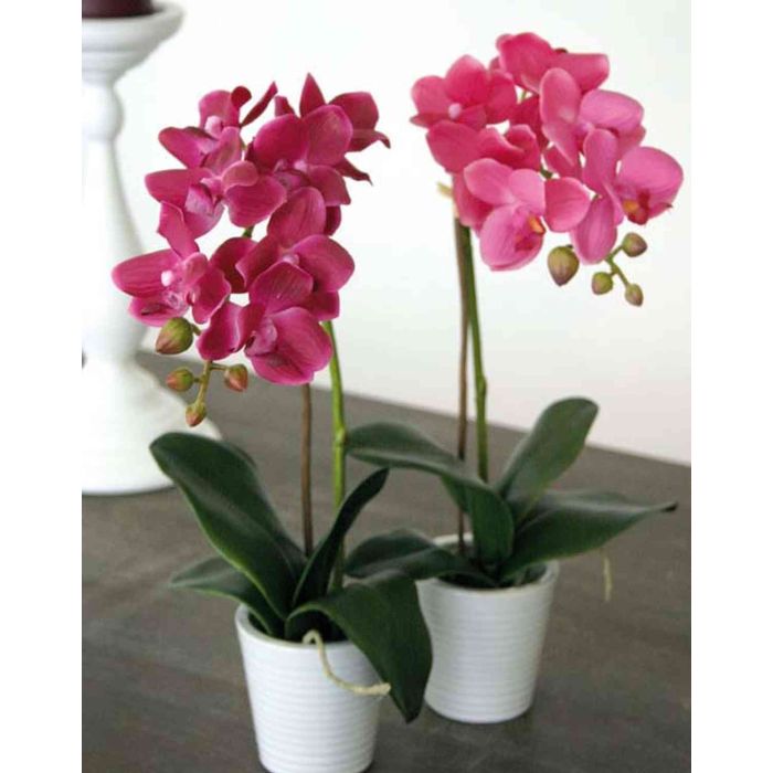 Orchidea phalaenopsis artificiale JASMIN in vaso di ceramica, rosa scuro,  35cm