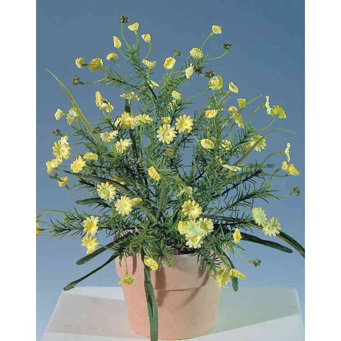 Felce artificiale asplenium DALIDA in vaso decorativo, verde, 75cm