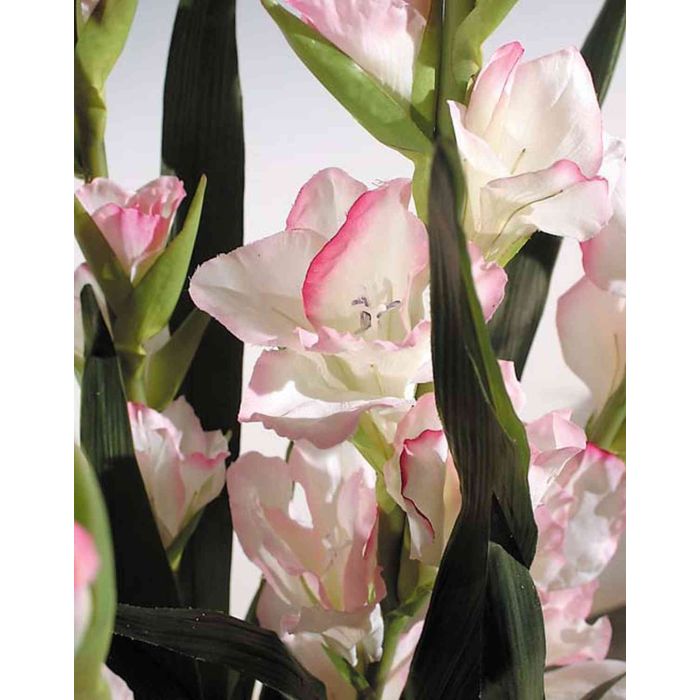 Gladioli artificiali MICHELLE in vaso, rosa-bianco, 120cm