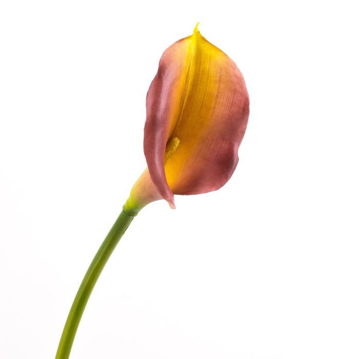 Calla Viola Calla sintetica RAMIRA, viola-giallo, 75cm, Ø8x14cm - Fiori artificiali