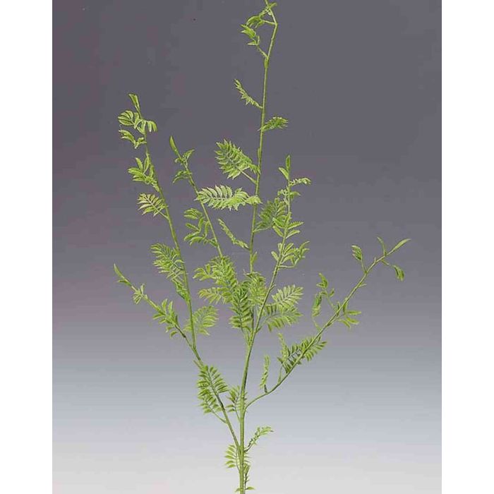 Ramo Di Faggio Decorativo 72,5 Cm Ramo Artificiale Decorativo 725 Cm