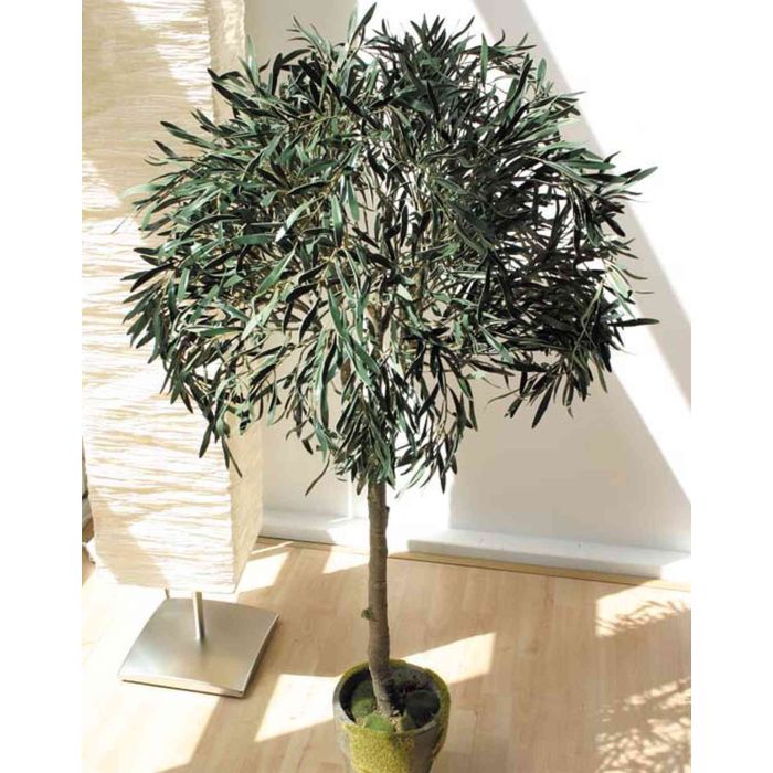 Albero di eucalipto artificiale MANOLIS in vaso decorativo, verde